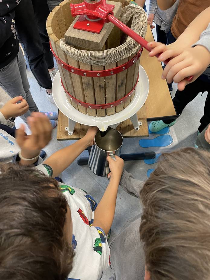 Schüler und Schülerinnen pressen ihren eigenen Apfelsaft
