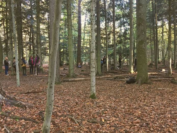 Die Realschulklasse der Torwiesenschule bei einem Spaziergang im Wald